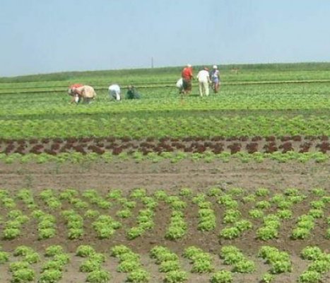 Dacian Cioloş: Problematica agriculturii româneşti este similară cu cea din Brazilia